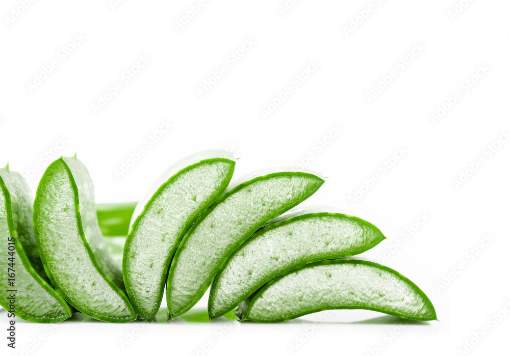 Aloe Vera fresh leaf. Aloe Vera fresh leaf.