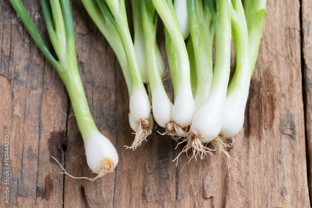 Pile of fresh spring onion on wood table Pile of fresh spring onion on wood table