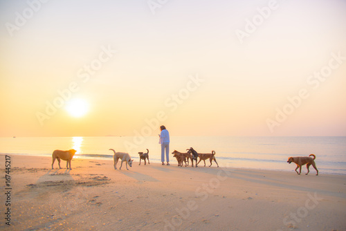 A young woman relaxing and playing with dogs at the beach with beautiful sunrise background. Image of girl and dogs haveing fun together at seaside with copy space. Friendship concept.