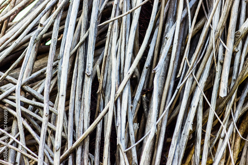 Brushwood texture of straight twigs as a background