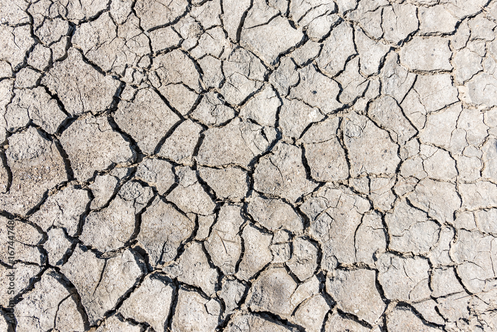 Top view of drought cracked soil texture.Dry mud background texture. Global Warming Top view of drought cracked soil texture.Dry mud background texture. Global Warming