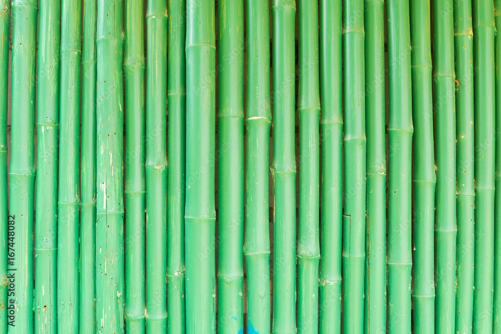 Abstract Background of Green Chinese Bamboo Abstract Background of Green Chinese Bamboo