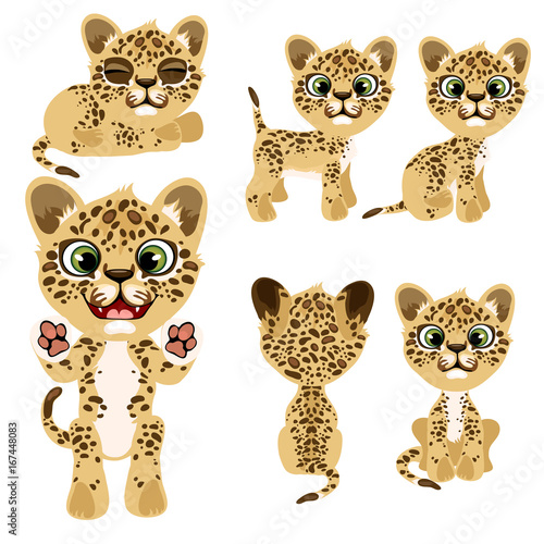 Fototapeta Naklejka Na Ścianę i Meble -  Spotted tiger cub in different poses and with different mood. Vector illustration in cartoon style on white background for animation, games, veterinary projects, childrens books and other design needs