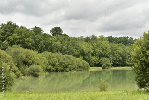 Fototapeta Naklejka Na Ścianę i Meble -  Reflet de la nature dans les eaux émeraudes de l'étang principal près de Champagne ,au Périgord Vert 