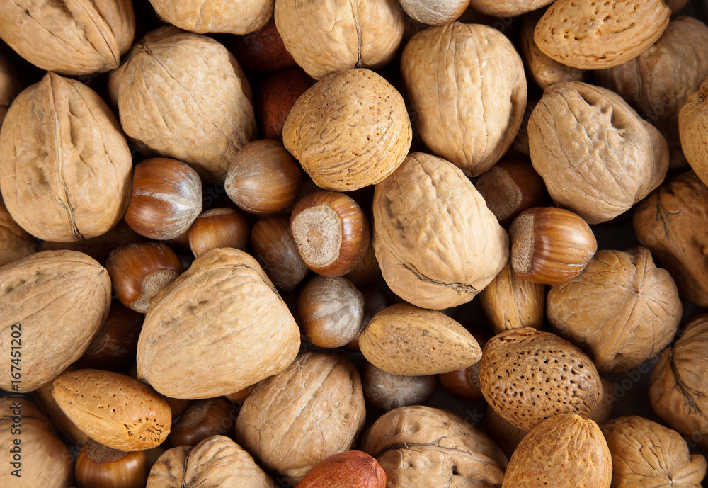 Autumn nuts Autumn nuts