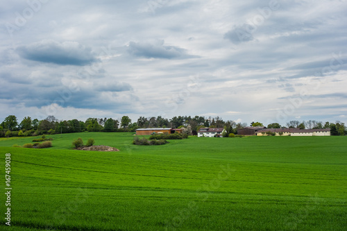 Wanderung in Ostelsheim im Nordschwarzwald im Frühling an einem bewölkten Tag