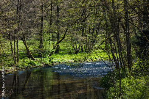 Wanderung in Altensteig im Nordschwarzwald im Frühling an einem Frühsommertag mit blauem Himmel entlang der Nagold