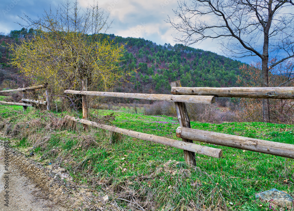 Old wooden fence, trees, green grass, and blue cloudy sky on green meadow, Mudurnu, Turkey