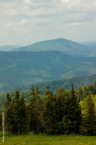 Mountain road landscape in summer © HotsViktoriia