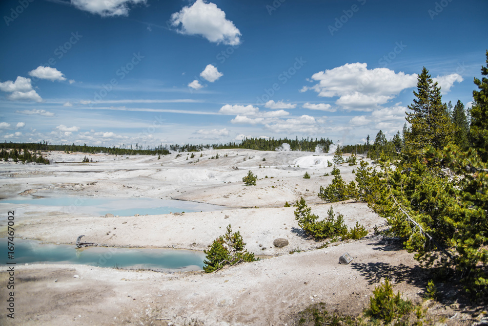 Beautiful nature: a colorful landscape with hot springs in the Yellowstone National Park, blue sky, green forest and white and colorful sand. Beautiful nature: a colorful landscape with hot springs in the Yellowstone National Park, blue sky, green forest and white and colorful sand.
