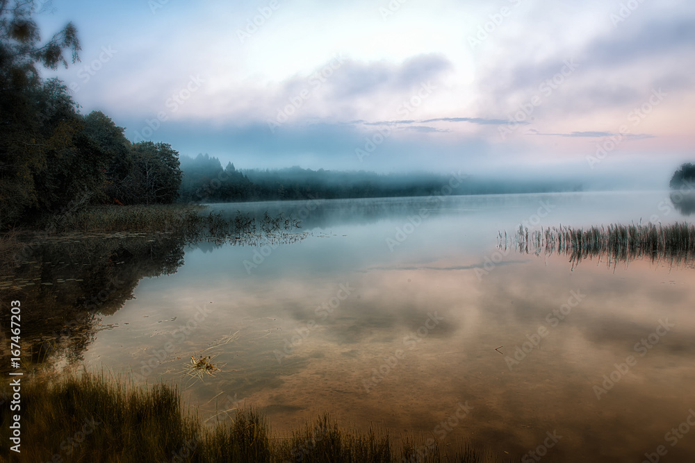 Fototapeta premium Forest lake