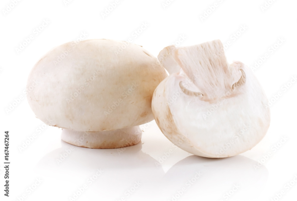 champignon isolated on white background champignon isolated on white background