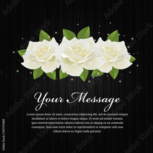 White roses and leaf on black wood background vector design