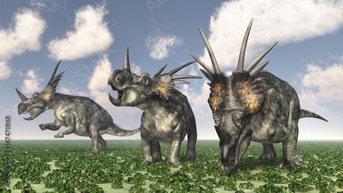 Dinosaurier Styracosaurus photo