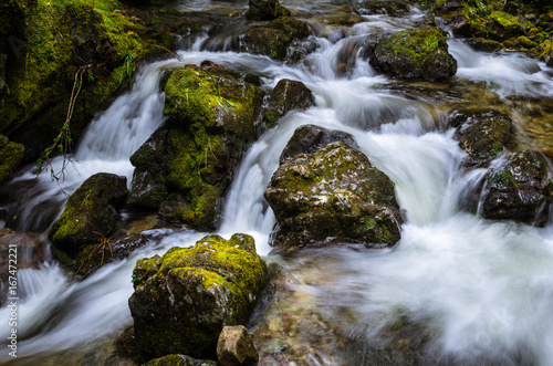 Waterfall in Fundy National Park  NB  Canada.