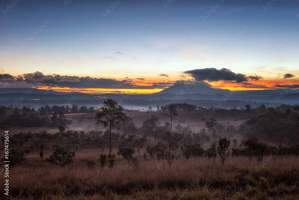 Thung Salang Luang , savanna forests in Thailand.