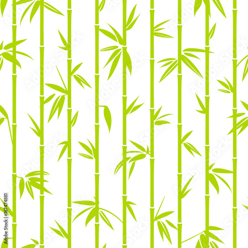 Fototapeta Naklejka Na Ścianę i Meble -  Seamless Pattern Bamboo Green