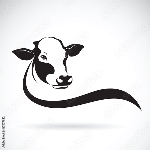 Vector of a cow head design on white background. Farm Animal.
