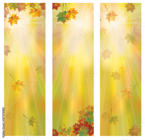 Vector autumnal leaves banners.