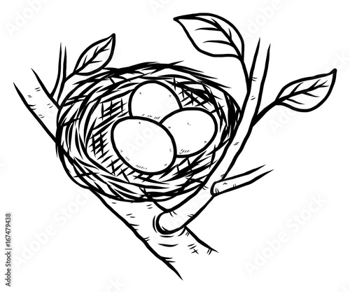 bird nest and three eggs / cartoon vector and illustration, black and white, hand drawn, sketch style, isolated on white background.