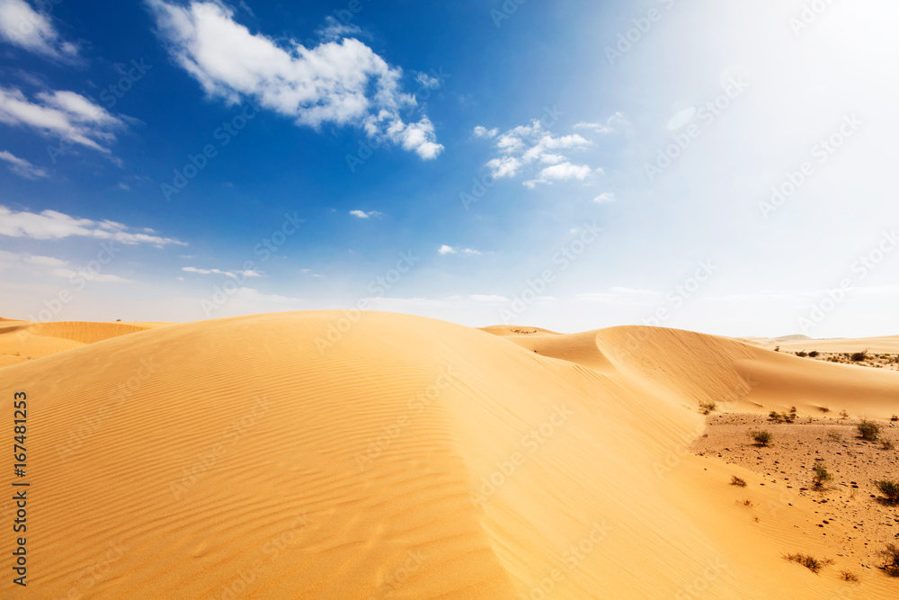 desert landscape with a blue sky