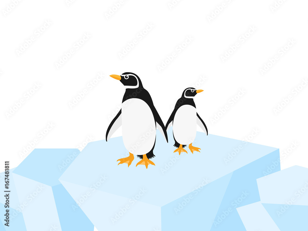 Fototapeta premium ペンギン
