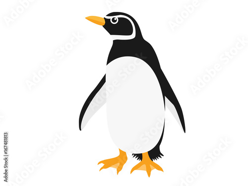 ペンギン
