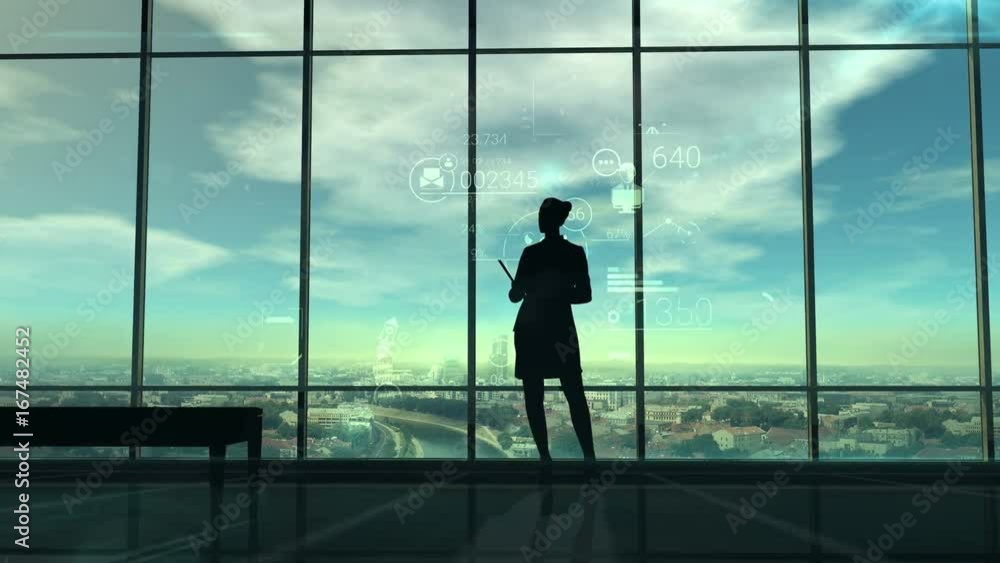Silhouette of woman and corporate infographics Silhouette of woman and corporate infographics