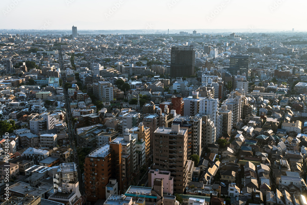 Fototapeta premium 東京の建築物で埋め尽くされた都市風景１