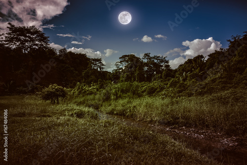 Bright full moon above wilderness area in forest, serenity nature background. © kdshutterman
