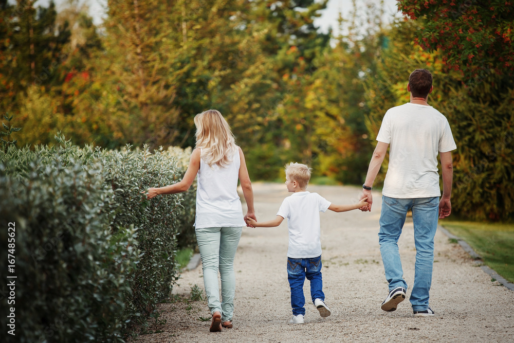 Happy young family walking on path in Park holding hands. The view from the back.