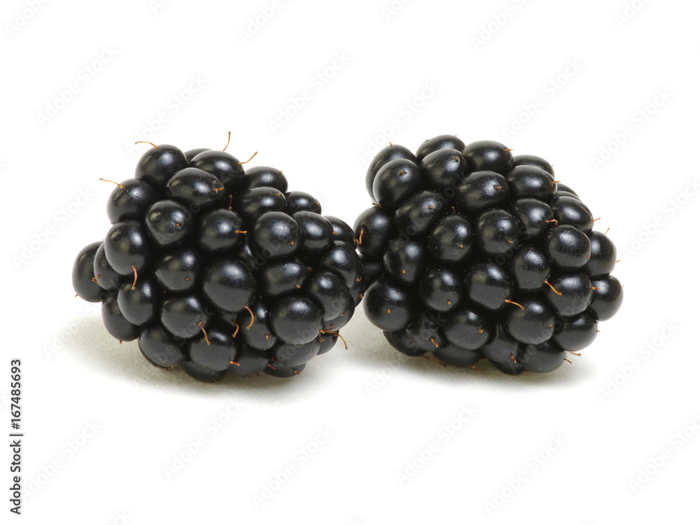 Ripe blackberries isolated on white background Ripe blackberries isolated on white background