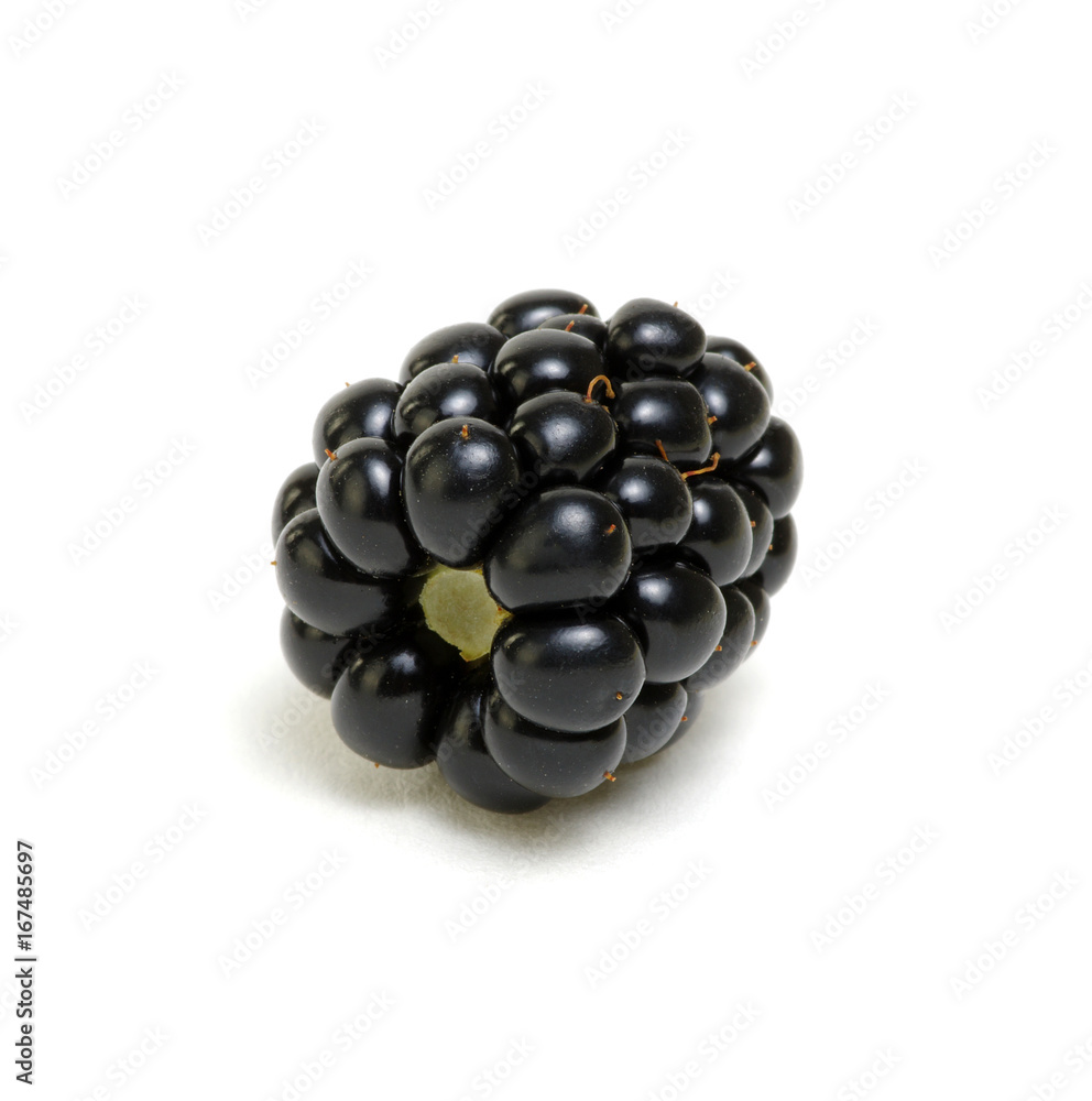 Blackberry isolated on white Blackberry isolated on white