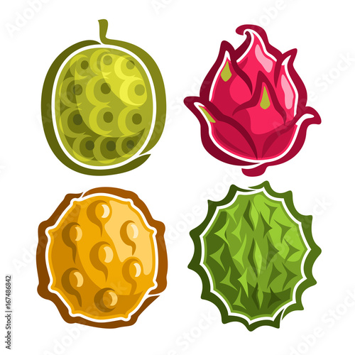 Vector Set icons of colorful exotic Fruits: 4 primitive logos of thai fruit isolated on white, set of cartoon simple stickers for juice or candy, labels for jackfruit dragon fruit, kiwano, and durian.