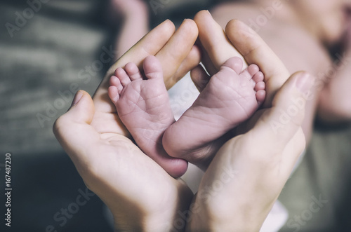 Parent holding in the hands feet of newborn baby. photo