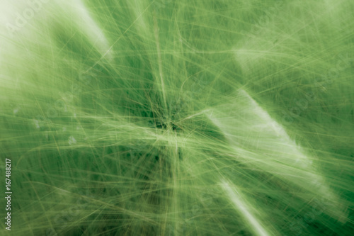 Abstract green grass 