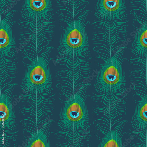 Peacock feather seamless pattern. Exotic ornament background