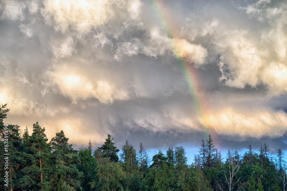 rainbow in a dramatic cloudy sky over the forest rainbow in a dramatic cloudy sky over the forest