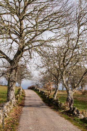 Rural road