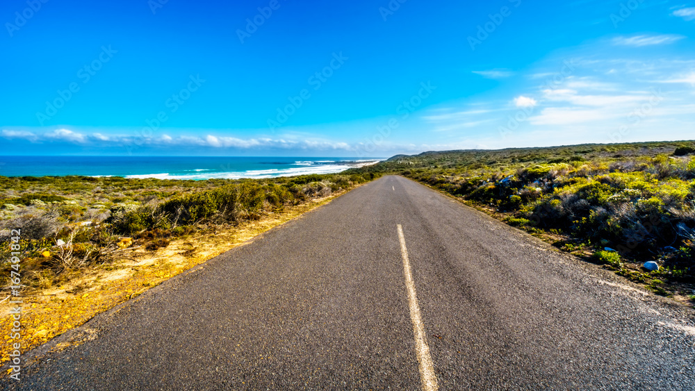 The road from Cape Point to Cape of Good Hope and Platboom Beach in the Cape of Good Hope Nature Reserve in the Cape Peninsula of South Africa