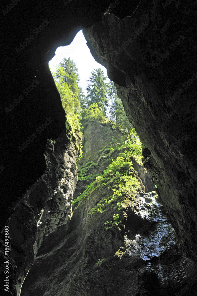 Fototapeta premium bewachsene felsen in der breitachklamm