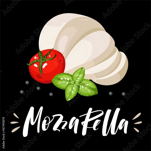 Salad and pizza ingredients - sliced mozzarella, tomato, basil