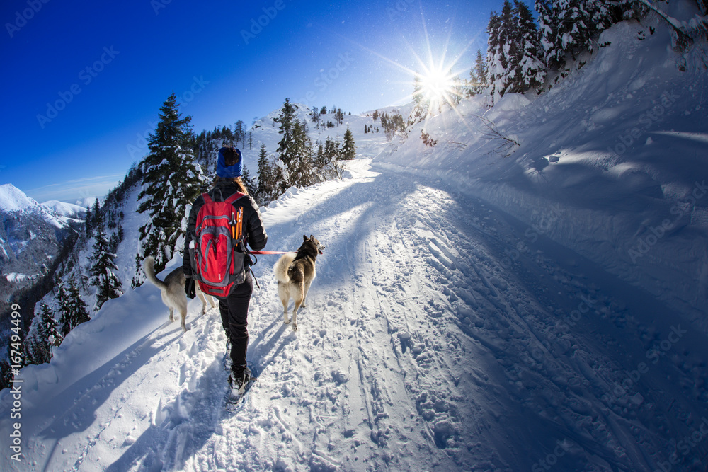 Donna ragazza che cammina nella neve con cane