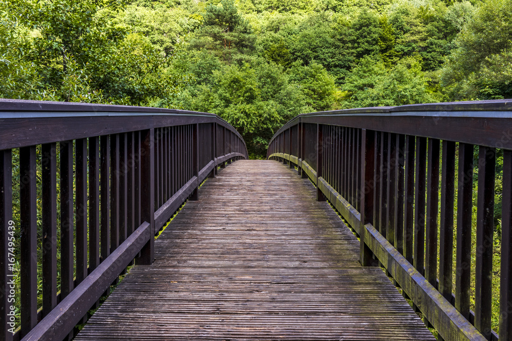 Brücke ins Grün - Frauenberg, Germany