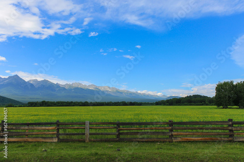 An old fence protects a beautiful green glade with yellow flowers amidst the mountains