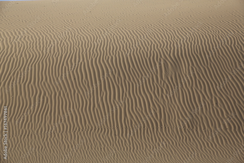 Mongolie Mongolie