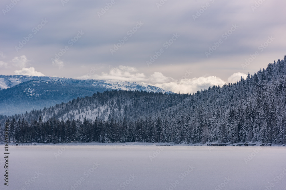 A Cold View from Donner Lake