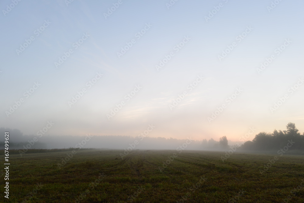 Foggy summer morning before dawn on a freshly mown field