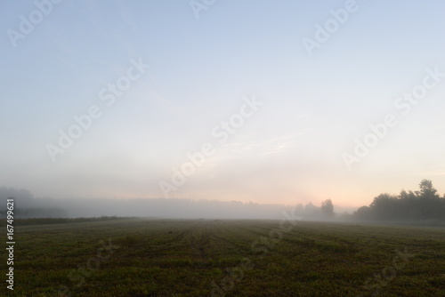 Foggy summer morning before dawn on a freshly mown field