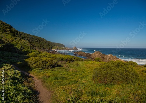 Landscape of part of the Otter Trail at the Indian Ocean